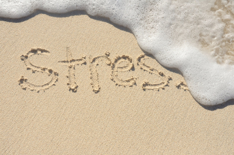 Top Tips to Reduce Stress